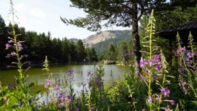 tropikal sicaklardan bunalanlar solugu limni golunde aldi BKnK2piX