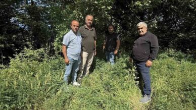 turkelinin 5 koyune baz istasyonu 6EFCLN9Q