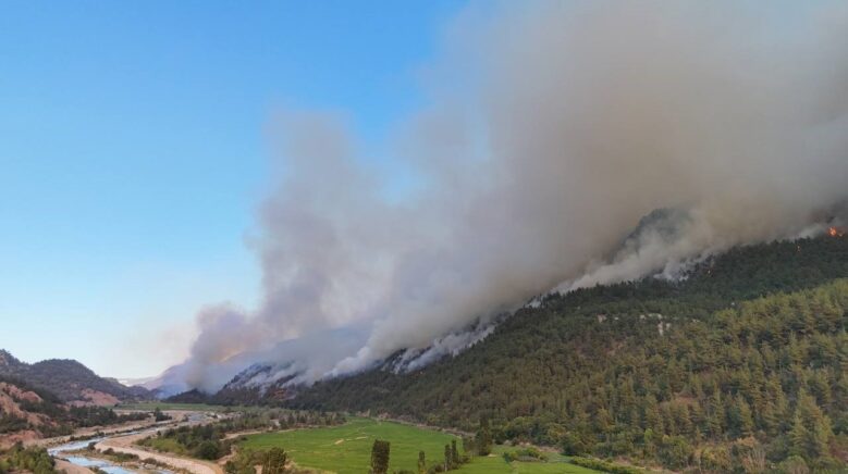 turkiye orman yanginlariyla mucadelede alarmda risk altindaki alan 125 milyon hektar e9ElncuM