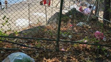 ucretli hale getirilen sevgi baris dostluk plajina tel orguleri asarak girmeye calistilar bX4sWnwa