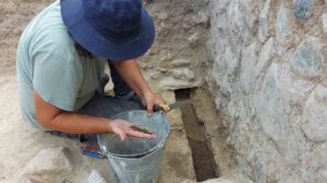 uzum tariminin tarihi yolculugu gun yuzune cikarilacak 6EGAUGuT