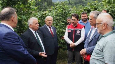 vali bile bahceye inmeyen findik ureticisine sitem etti jmIZ4TWL