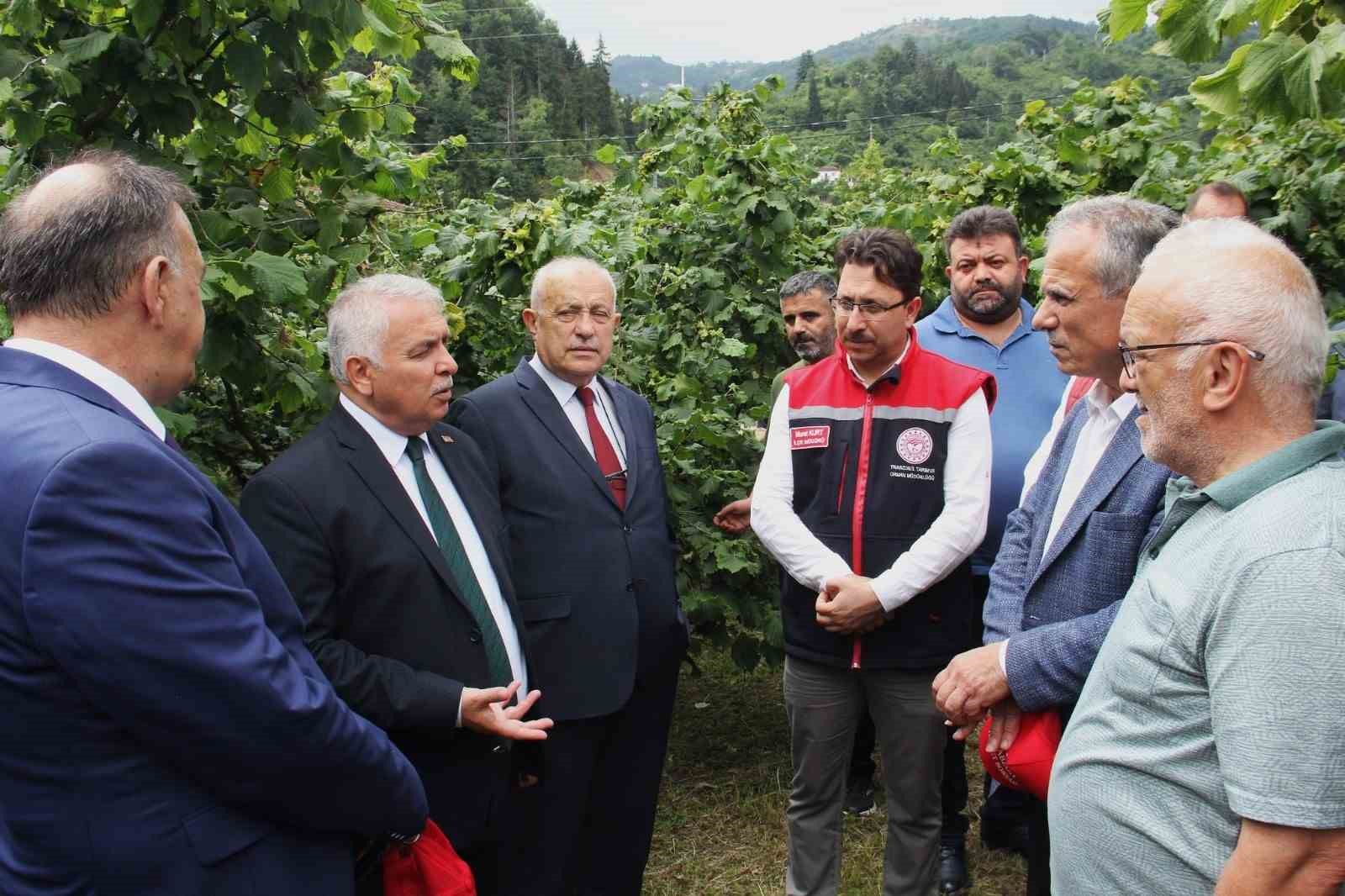 vali bile bahceye inmeyen findik ureticisine sitem etti jmIZ4TWL