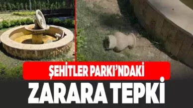 vvvvvvvvvvvvvvvvvvvvvvv