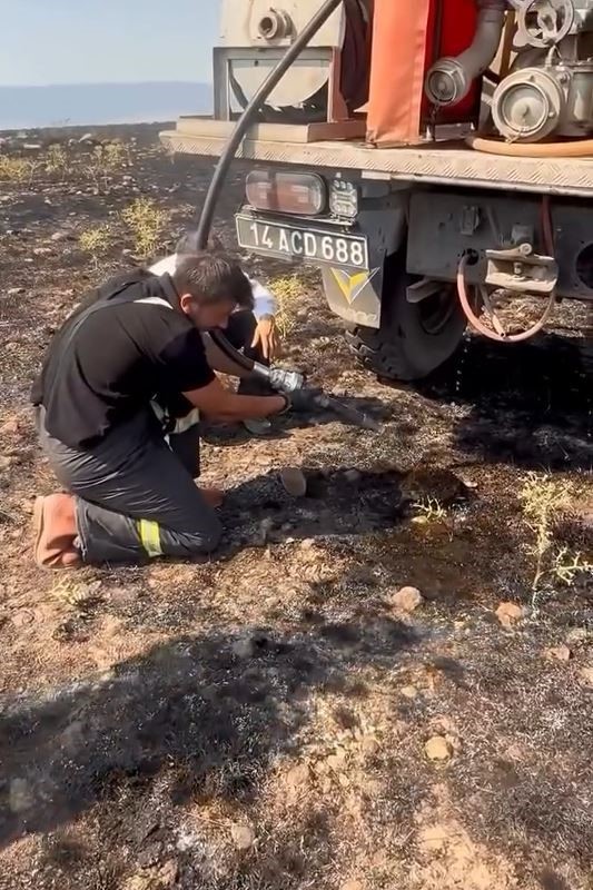 yangindan etkilenen kirpiye elleriyle su verdiler