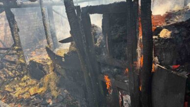 yaprak pisirilirken cikan yangin ahira sicradi 7 buyukbas hayvan telef oldu RQq47KcX