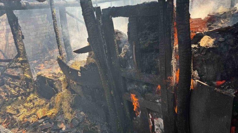 yaprak pisirilirken cikan yangin ahira sicradi 7 buyukbas hayvan telef oldu RQq47KcX