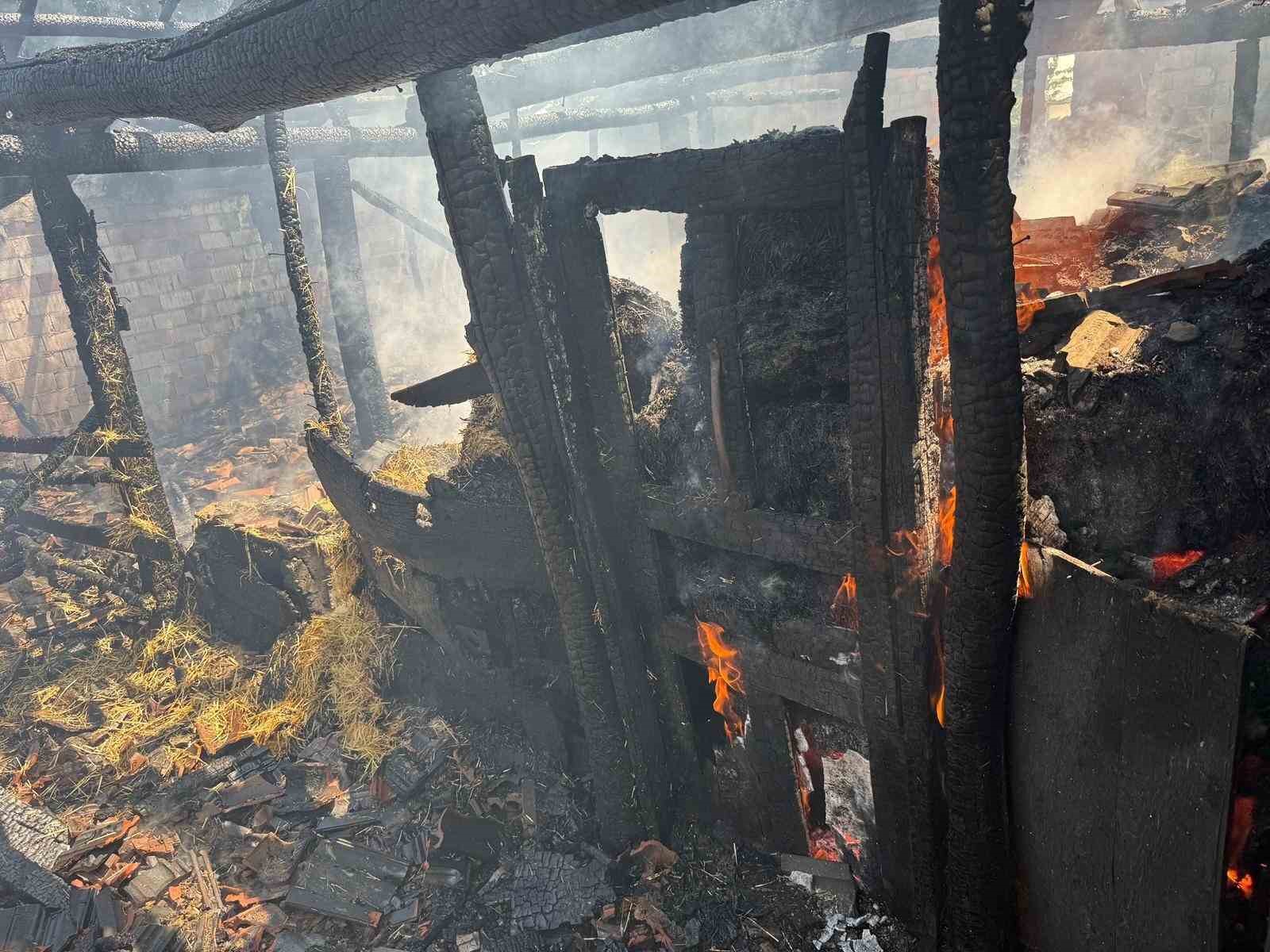 yaprak pisirilirken cikan yangin ahira sicradi 7 buyukbas hayvan telef oldu RQq47KcX