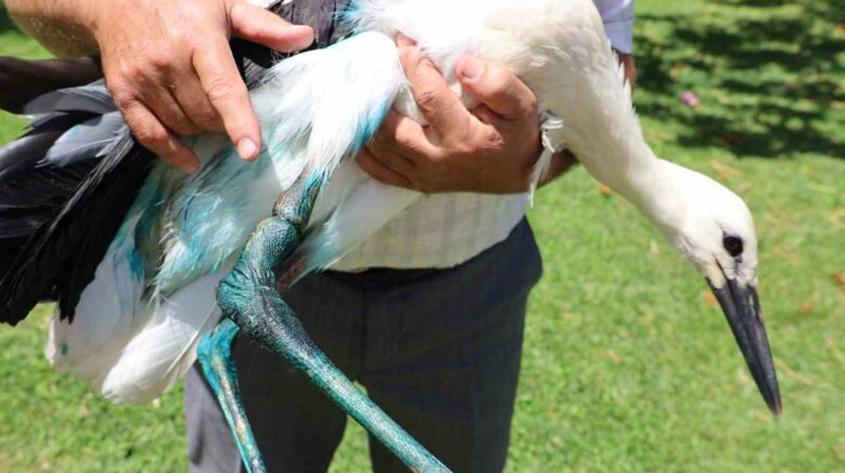 yarali leylege imamdan sefkat eli kuran kursumuzun maskotu oldu 6cRCi5cs