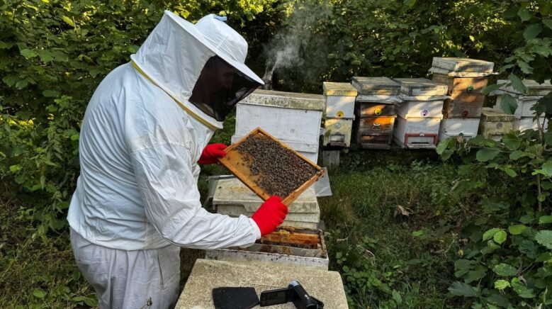 zonguldakta aricilik son 15 yilin en verimli donemini yasiyor gldshRCu