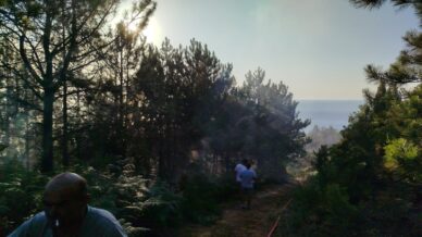 zonguldakta cikan yanginda 7 donumluk karacam ormani zarar gordu 4U7fdQLF