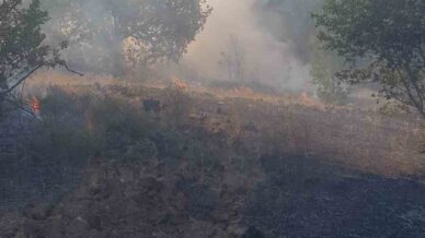 zonguldakta ormanlik alanda cikan yangina ekipler mudahale etti H2Gwfl6x