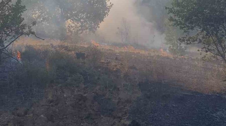 zonguldakta ormanlik alanda cikan yangina ekipler mudahale etti H2Gwfl6x