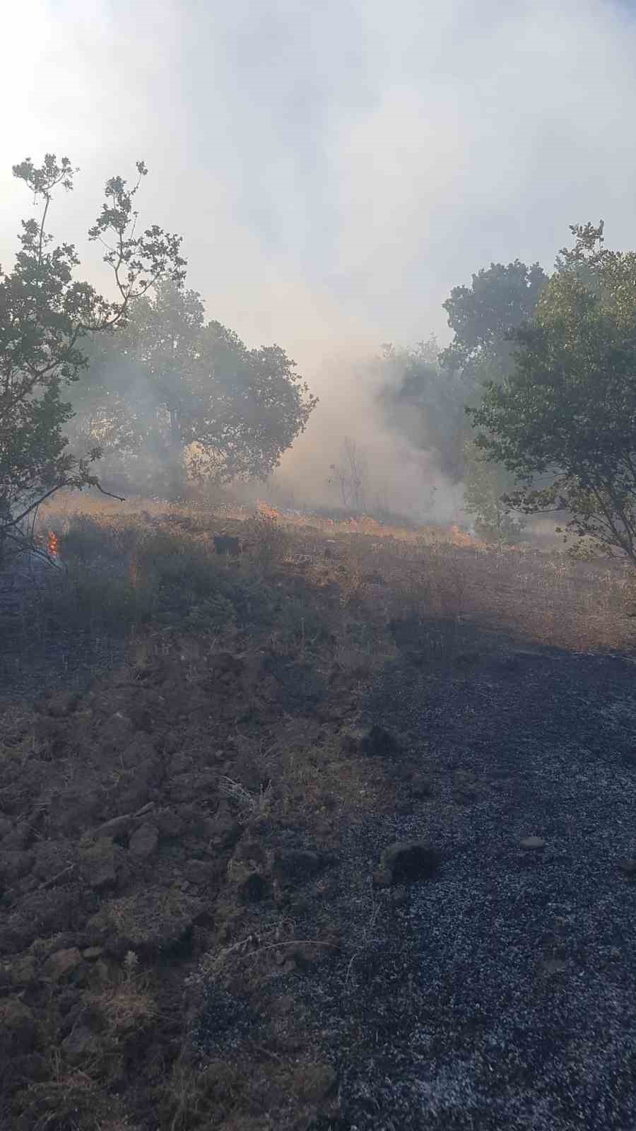 zonguldakta ormanlik alanda cikan yangina ekipler mudahale etti