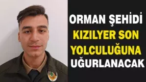 zzzzzzzzzzzzzzzzzzzzzzzz