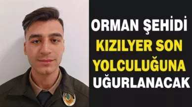 zzzzzzzzzzzzzzzzzzzzzzzz