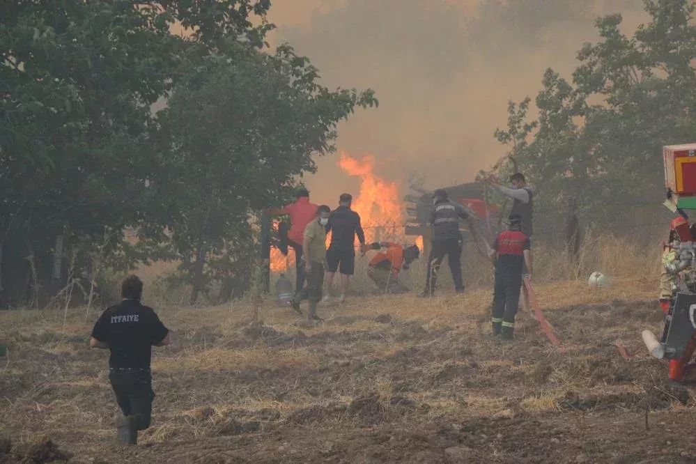 MANSETOrmanlarimiz Yandi Failler Ortada Yok4 1