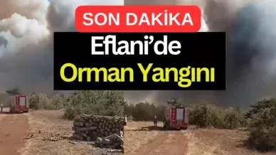 MTVDE SON GUN 2025 08 31T161402.006