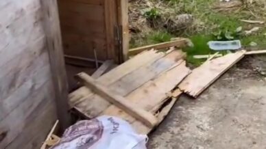 ac kalan ayilar yayla evlerinden sonra turistlerin konakladigi bungalovlara dadandi L8dShhqW