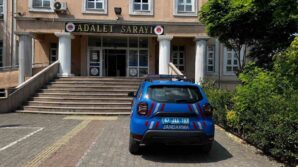 alaplida findik bahcesinde 16 kok hint keneviri ele gecirildi 1gY7j5Ww