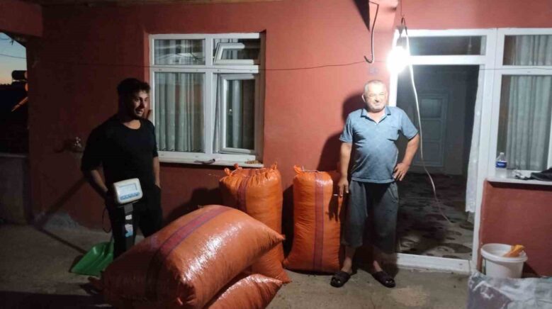 alaplida hasat edilen findiklar satisa cikti 6FEk9h8b