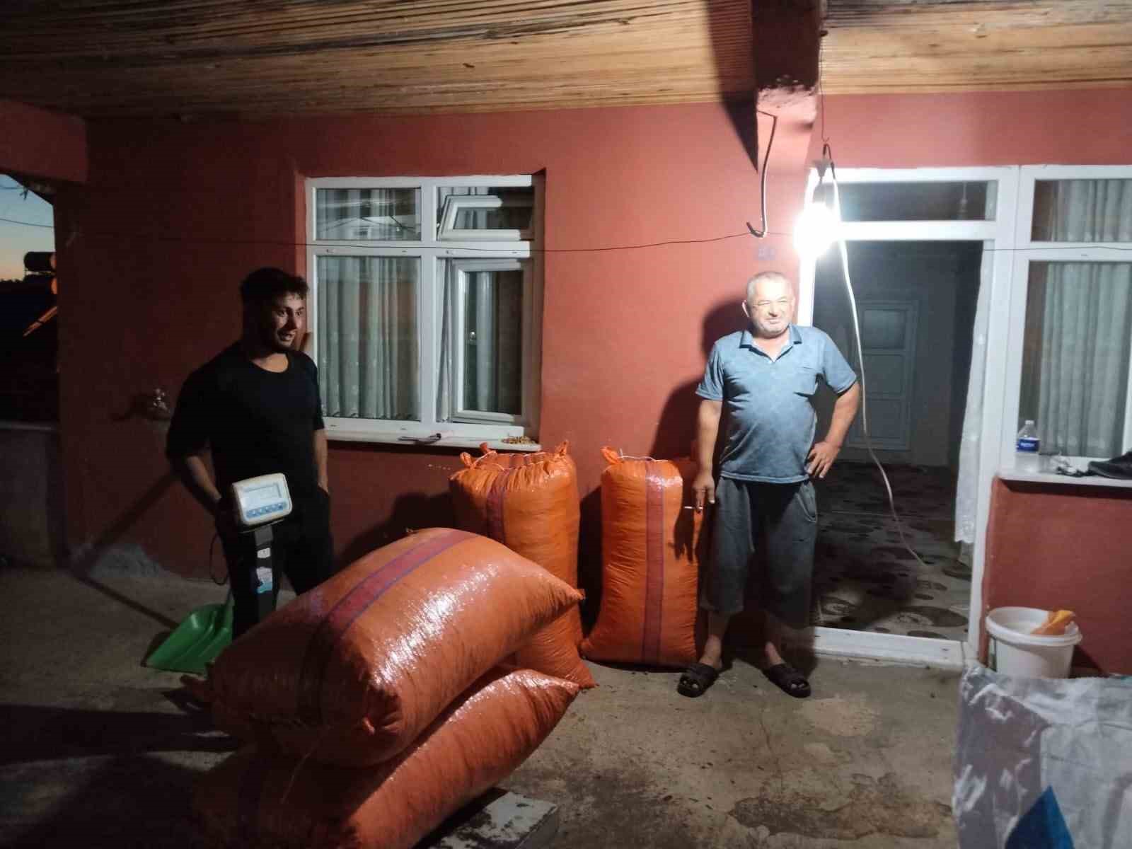 alaplida hasat edilen findiklar satisa cikti 6FEk9h8b