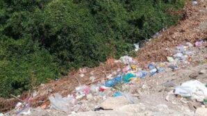 alaplida yol kenarina birakilan copler cevre kirliligine yol aciyor KH8CM7zv