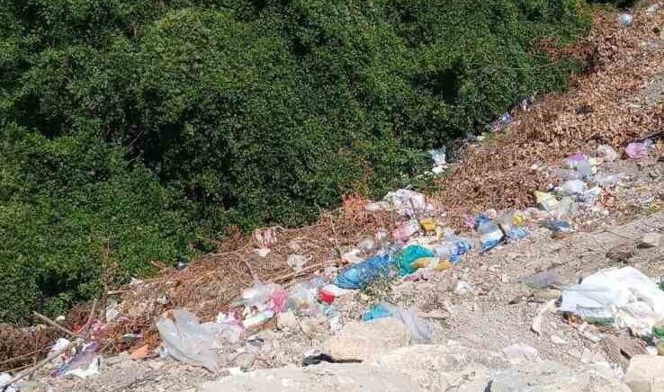 alaplida yol kenarina birakilan copler cevre kirliligine yol aciyor KH8CM7zv