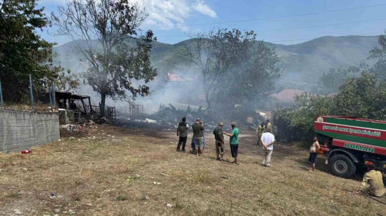 alevlere teslim olan ev kule dondu lfFjk8hN