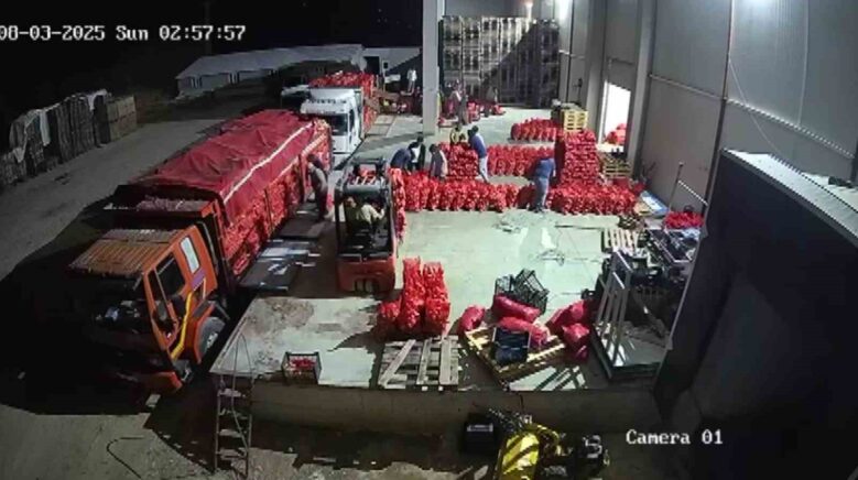 amasya sogani avrupaya satiliyor kaJi7F7G