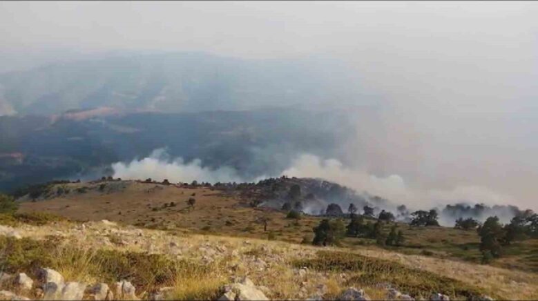 amasyada orman yangini 35 hektar alan zarar gordu hYYAnzjz