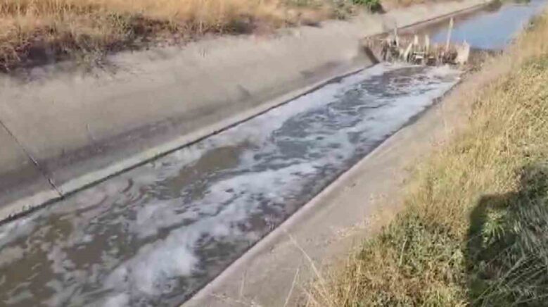 amasyada sulama kanali kirlilikten kopurdu balik olumleri gorulmeye basladi TIecMeDH