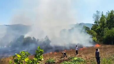 bahcede cikan yangin yerlesim yerlerine sicramadan sonduruldu jDY6QjdV