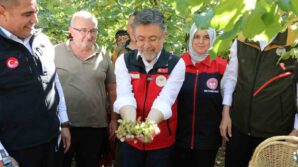 bakan yumakli findik stratejik bir urun dunyada birinciyiz rXFG3LjX