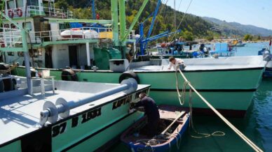 balikcilar yeni sezon icin hazirliklarini tamamladi PmJ386wA