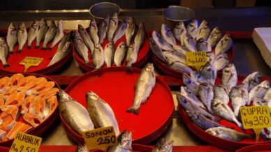 balikcilarin gozu bu sezon hamside FfOyZeTB