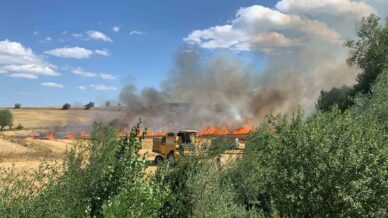 balya makinelerinden cikan yanginlar ormanlik alana sicramadan sonduruldu N3OfpfBH