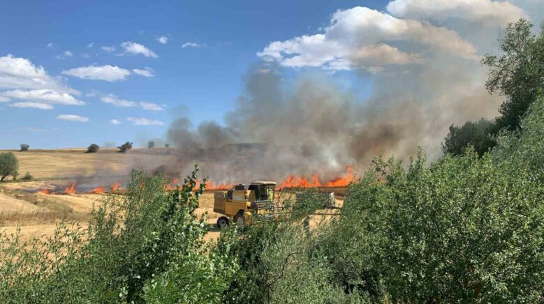 balya makinelerinden cikan yanginlar ormanlik alana sicramadan sonduruldu keQtzSfN