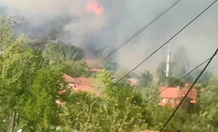 bartinda orman yangini alevler ruzgarin etkisiyle yerlesim yerini tehdit ediyor 7WOTvk2y