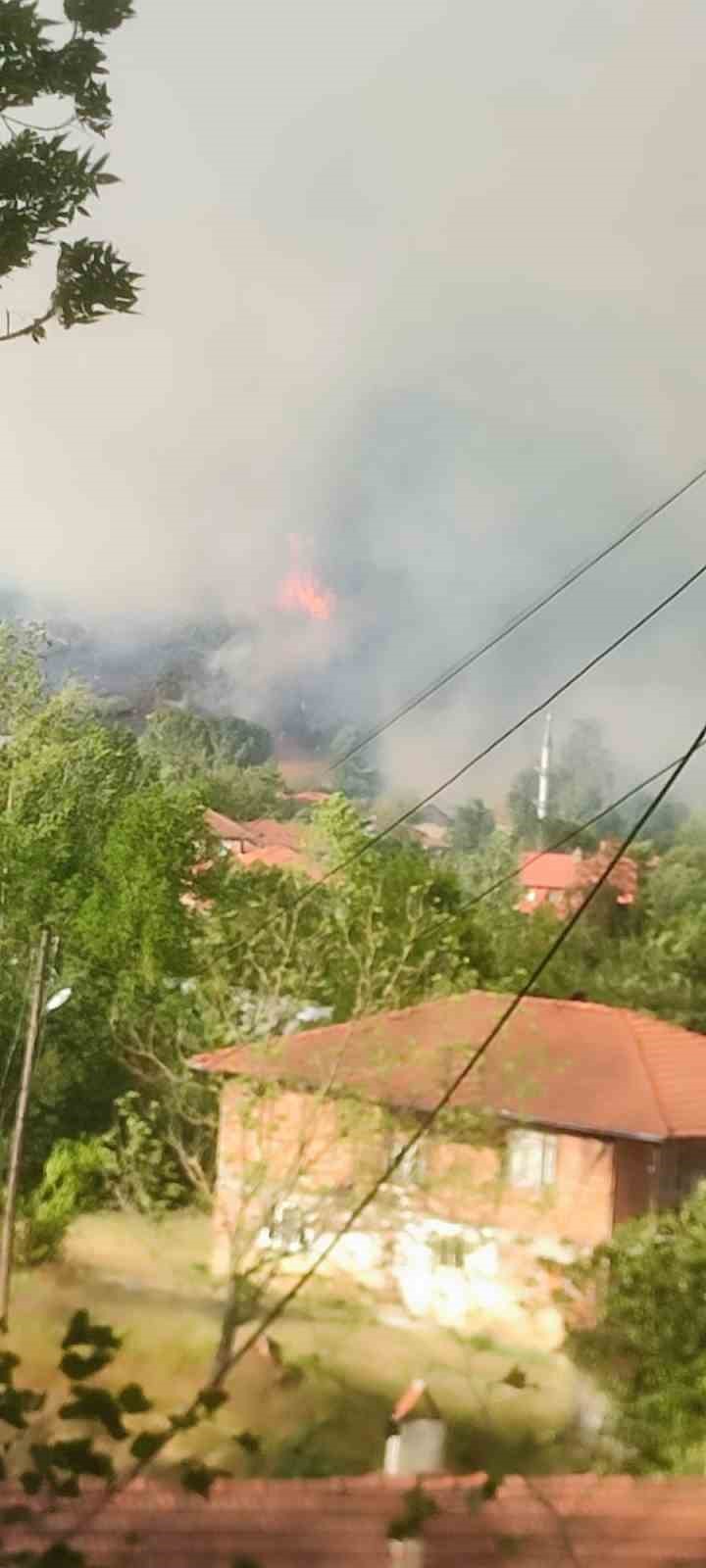 bartinda orman yangini alevler ruzgarin etkisiyle yerlesim yerini tehdit ediyor 7WOTvk2y