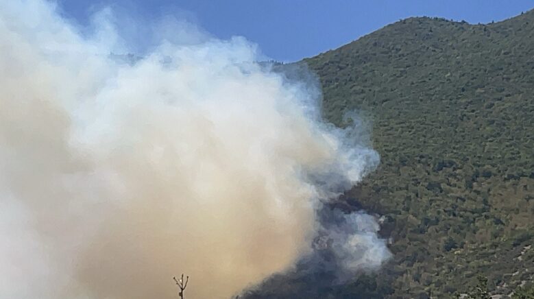 bartinda orman yangini cikti tMl7j2P7