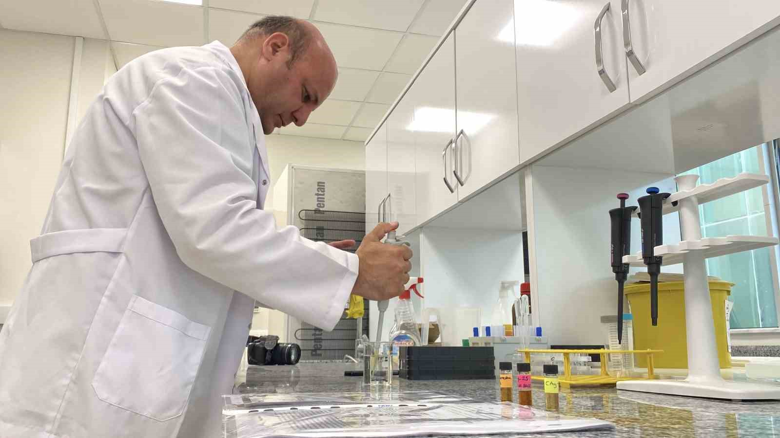 beyin kanseri tedavisinde yerli ve etkili nano molekul gelistirildi