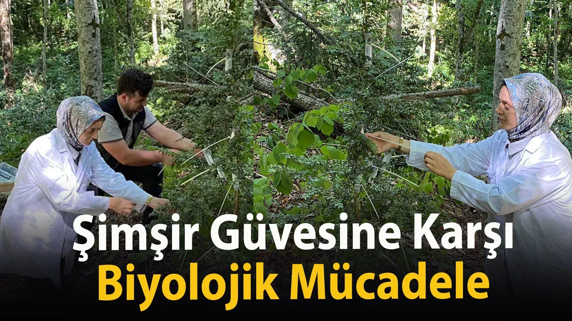 biypookv
