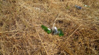 boluda aniz yakana cezalar artti yanan alanlar parayla olculmez VG4aQbNb