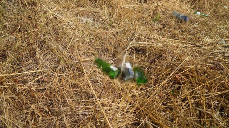 boluda aniz yakana cezalar artti yanan alanlar parayla olculmez VG4aQbNb