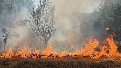 boluda bidonla akaryakit satisina yasak dwfWYlh9