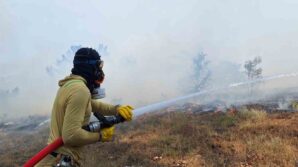 boluda cikan orman yangini kontrol altina alindi T4ZRSGrL