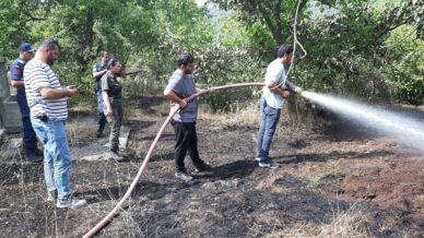 boluda facianin esiginden donuldu tarlada cikan yangin eve ve ormana sicramadan sonduruldu swbHaQcm