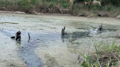 boluda kuruyan golette mahsur kalan baliklar kurtarildi CnnD4iJL