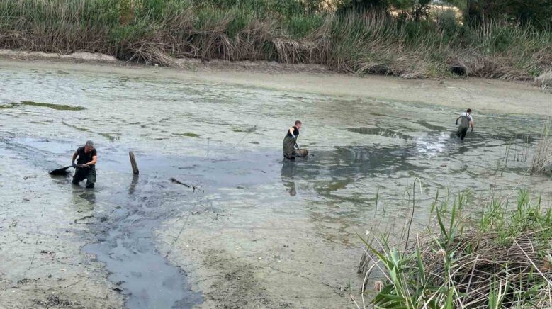 boluda kuruyan golette mahsur kalan baliklar kurtarildi CnnD4iJL